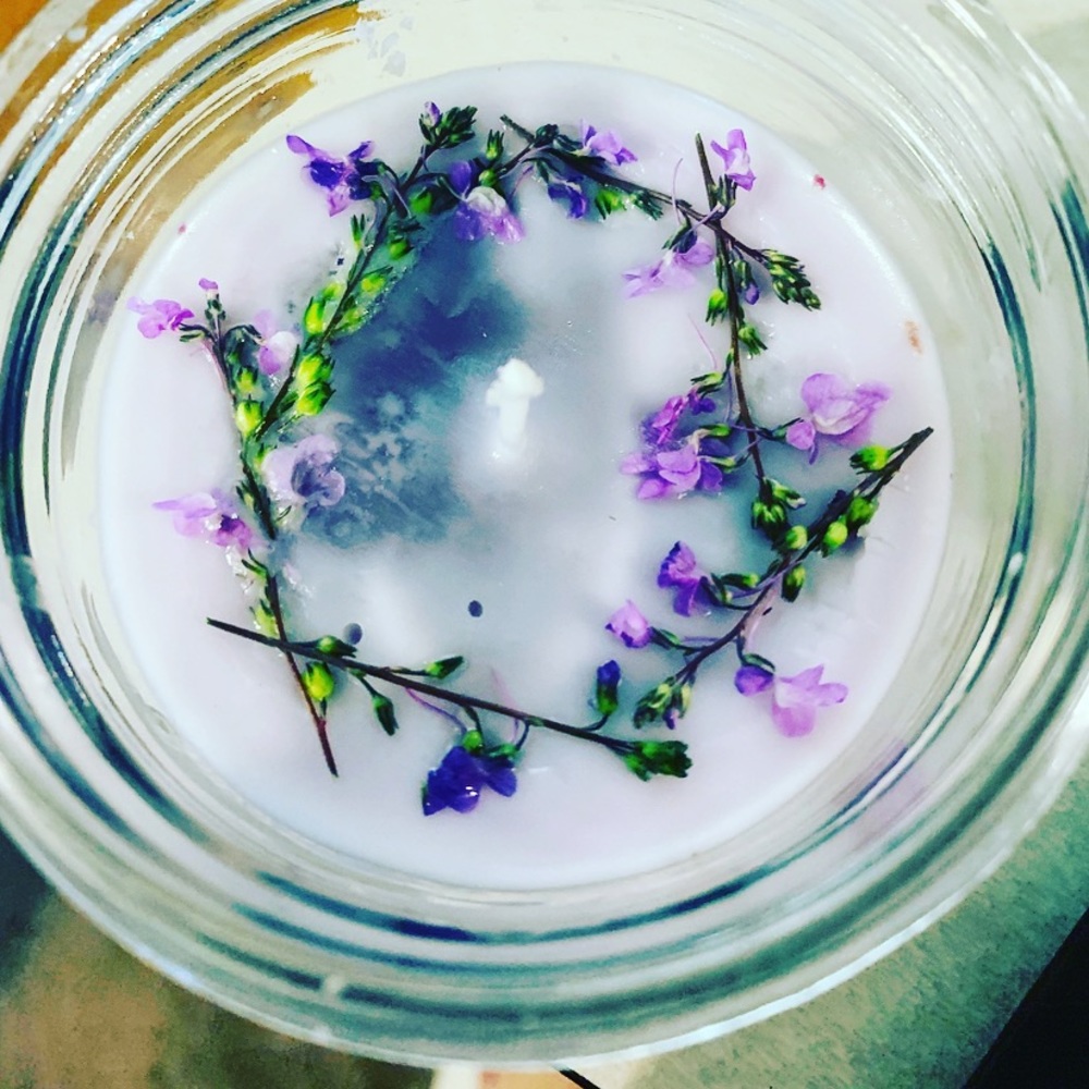 Lavander